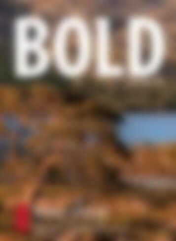 BOLD TRAVEL No.01