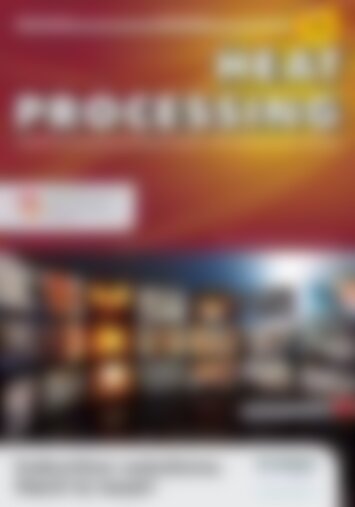 HEAT PROCESSING Modernization efficiency of thermal processing plants (Vorschau)