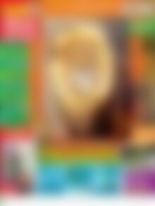 mein kreativ atelier wild amp schon vorschau