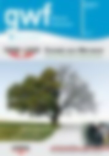 gwf Wasser/Abwasser Energie aus Abwasser (Vorschau)