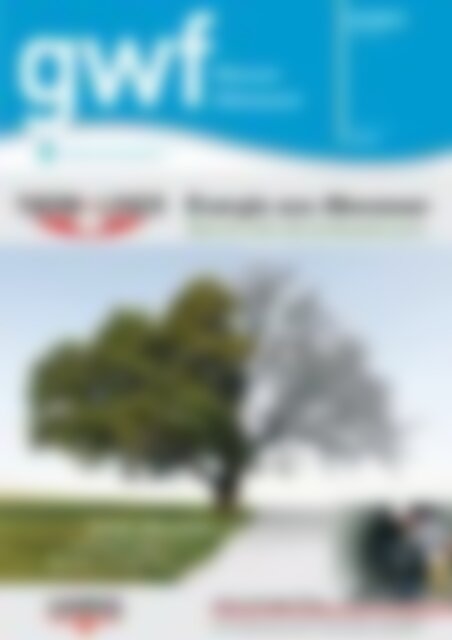 gwf Wasser/Abwasser Energie aus Abwasser (Vorschau)