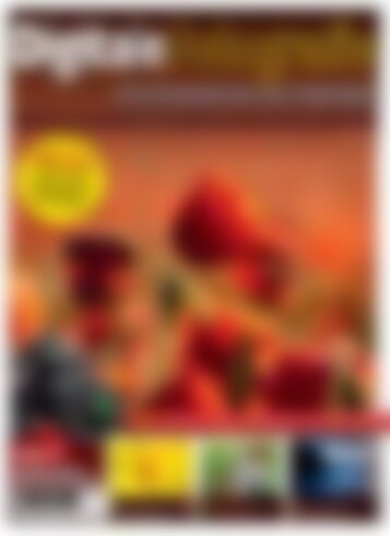 Digitale Fotografie - Themen Fotografieren im Freien (Vorschau)