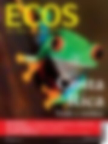 ECOS Costa Rica - Verde y exótica (Vorschau)