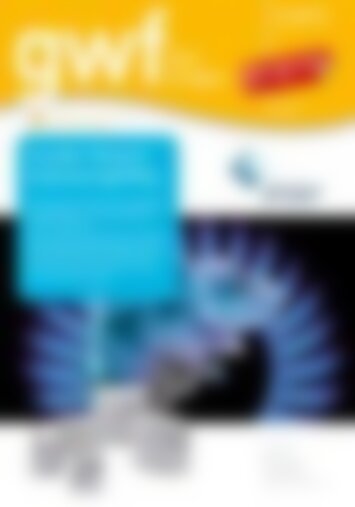 gwf Gas/Erdgas Smart Metering / IT (Vorschau)