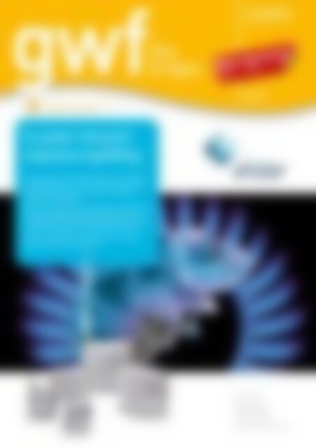 gwf Gas/Erdgas Smart Metering / IT (Vorschau)