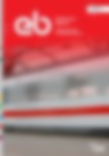 eb - Elektrische Bahnen Sicherheitsnormung für Bahnenergieversorgungsanlagen (Vorschau)