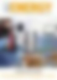 IKZ Energy Erneuerbare Energien 2014 (Vorschau)