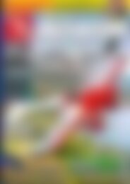 Modell Aviator Freude Am Fliegen Vorschau