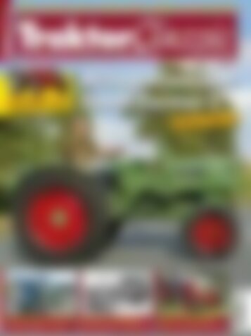 Traktor Classic Alltagsklassiker Fendt Farmer 2 (Vorschau)