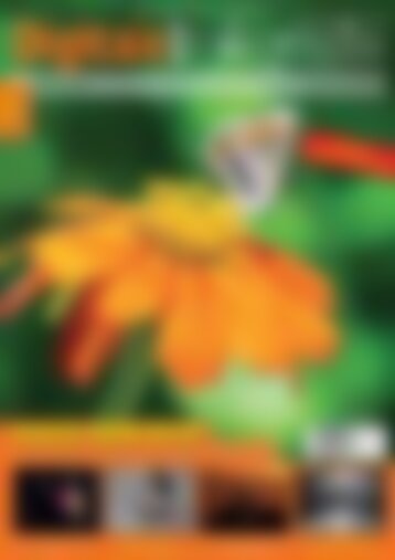 Digitale Fotografie - Update Die perfekte Aufnahme (Vorschau)