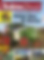 Traktor Classic Porsches Bestseller Auf Dem Prüfstand Vorschau - 