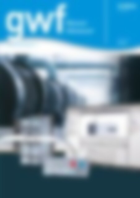 gwf Wasser/Abwasser gwf Wasser/Abwasser (Vorschau)