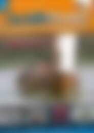 SchiffsModell Folkeboot in 1:5! (Vorschau)