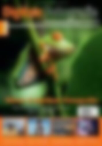 Digitale Fotografie - Update Natur & Outdoor-Fotografie (Vorschau)