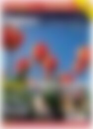 Digitale Fotografie - Update Belichtung & Outdoor (Vorschau)