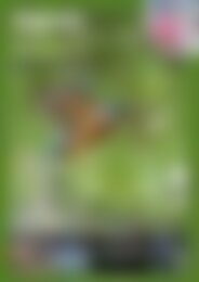 Digitale Fotografie - Update Kurz belichtet (Vorschau)