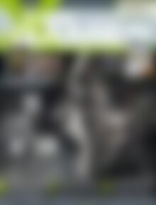 Xbg Games The Evil Within Vorschau