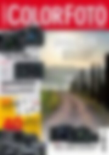 ColorFoto Fotoschule Tiere  (Vorschau)