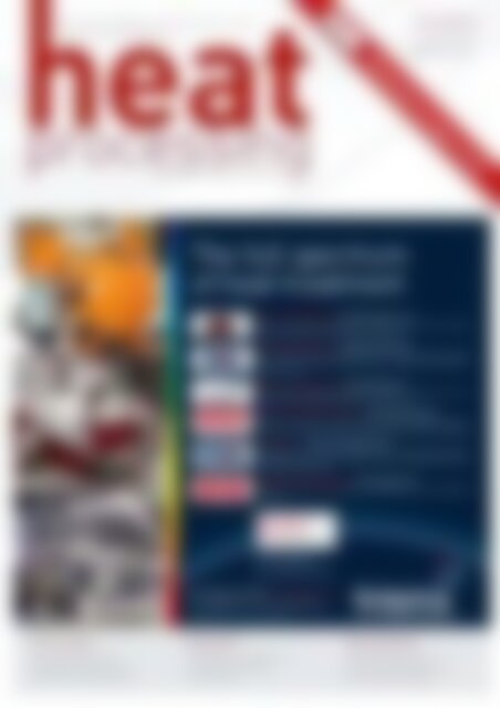 HEAT PROCESSING Report: Knowledge management in maintenance of thermal process plants (Vorschau)