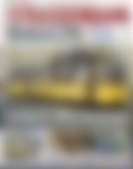 STRASSENBAHN MAGAZIN Stuttgarts 300er im Porträt (Vorschau)