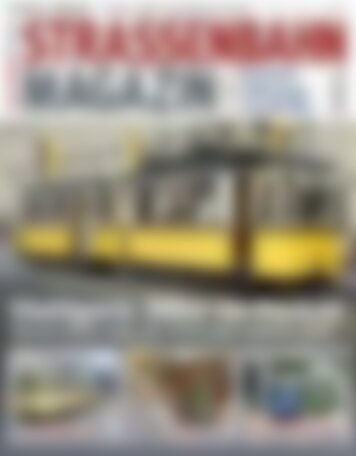 STRASSENBAHN MAGAZIN Stuttgarts 300er im Porträt (Vorschau)