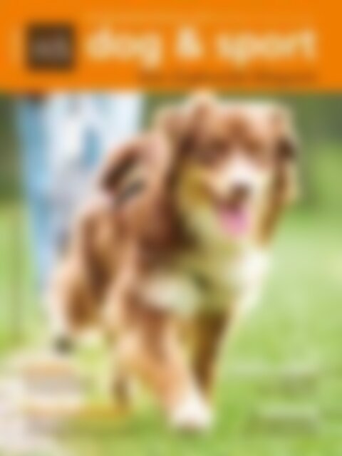 dog 6 sport Ausgabe 02/2013