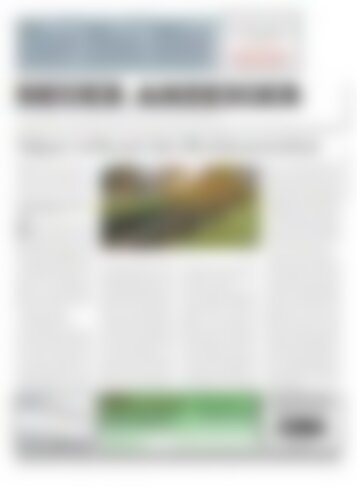 Neuer Anzeiger 26. Februar 2016