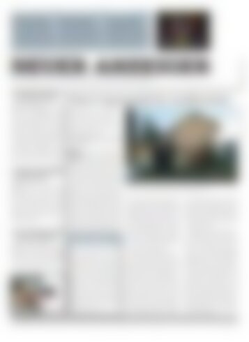 Neuer Anzeiger 9 Januar 2015