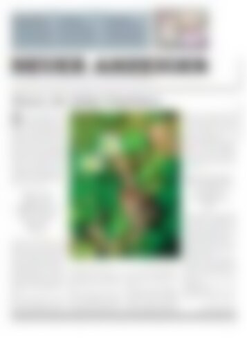 Neuer Anzeiger 2 April 2015