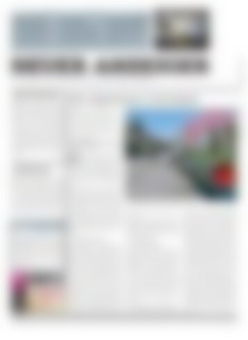 Neuer Anzeiger 17 April 2015