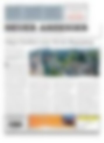 Neuer Anzeiger 29 Mai 2015