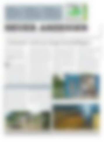 Neuer Anzeiger 19 Juni 2015