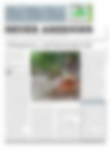 Neuer Anzeiger 17 Juli 2015