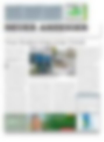 Neuer Anzeiger 9 Oktober 2015