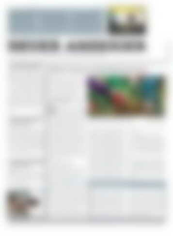 Neuer Anzeiger 23 Oktober 2015