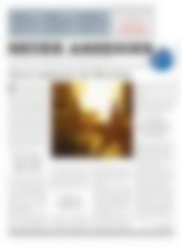 Neuer Anzeiger 24 Dezember 2015