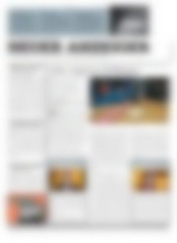 Neuer Anzeiger 8 Januar 2013