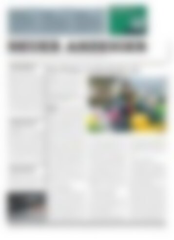 Neuer Anzeiger 15 Januar 2013