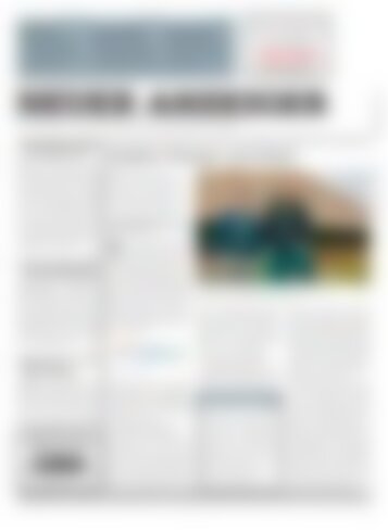 Neuer Anzeiger 28 März 2013