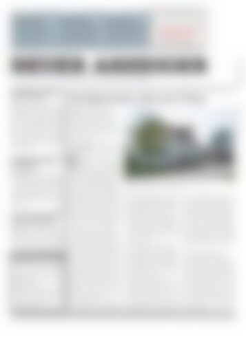 Neuer Anzeiger 3 Mai 2013