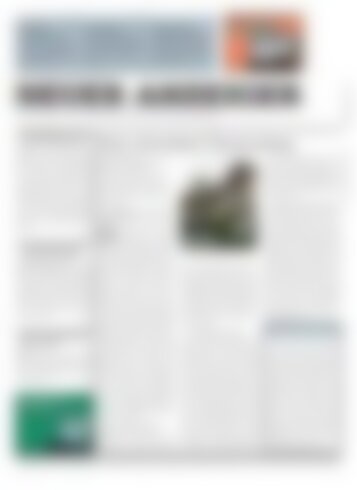 Neuer Anzeiger 17 Mai 2013