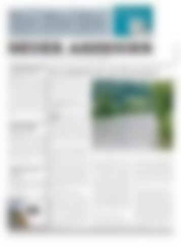 Neuer Anzeiger 28 Mai 2013