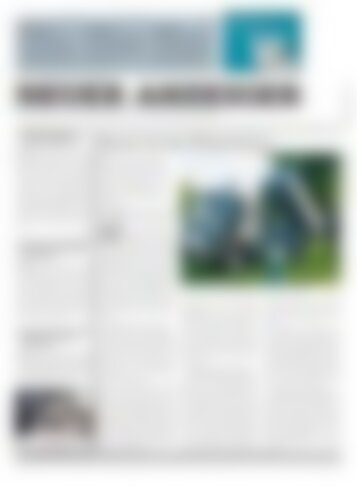 Neuer Anzeiger 7 Juni 2013