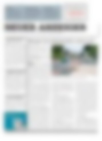 Neuer Anzeiger 12 Juli 2013
