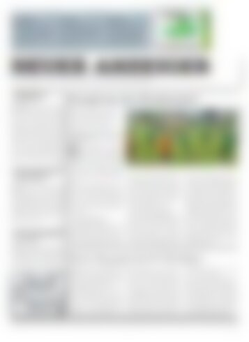 Neuer Anzeiger 13 August 2013