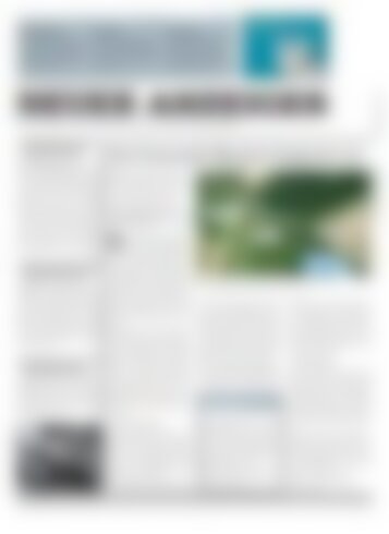 Neuer Anzeiger 19 November 2013