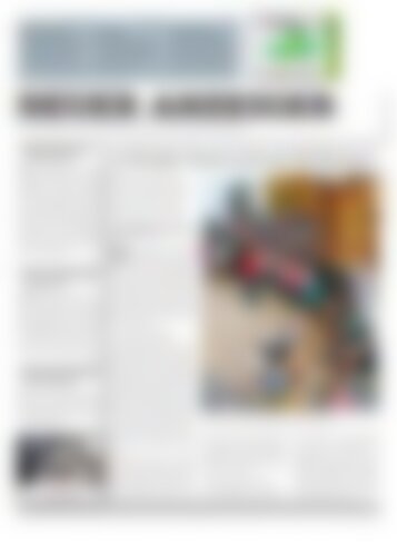 Neuer Anzeiger 21 März 2014