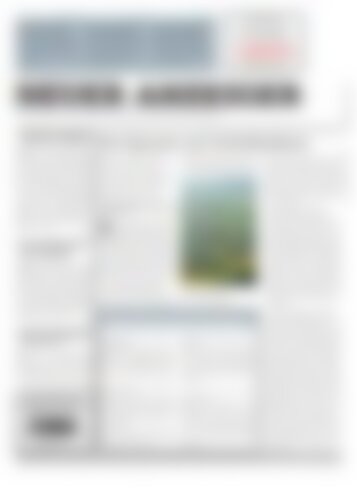 Neuer Anzeiger 28 März 2014