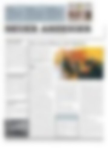 Neuer Anzeiger 4 April 2014