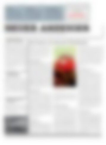 Neuer Anzeiger 31 Juli 2014